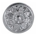 roseta1