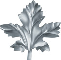hoja1