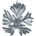 hoja1