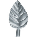 hoja1