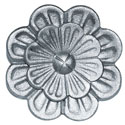 hoja1