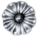 hoja1