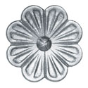 hoja1