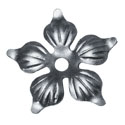 hoja1