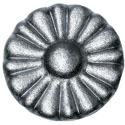 hoja1
