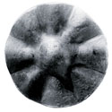 hoja1