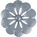 hoja1