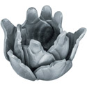 hoja1
