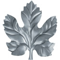 hoja1