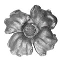 roseta1