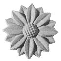 roseta1