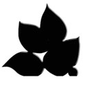 bal1
